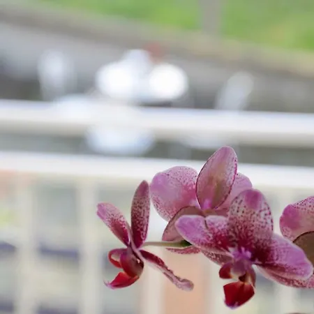 Casa Dei Nonni #charminglanga Prázdninový dům Grinzane Cavour