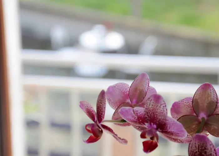 Casa Dei Nonni #charminglanga Prázdninový dům Grinzane Cavour